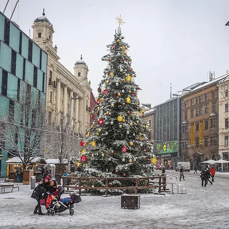 - V Bohemske Ctvrti Kamenka Brno