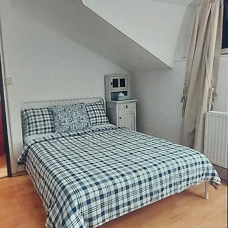 - V Bohemske Ctvrti Kamenka Apartment Brno